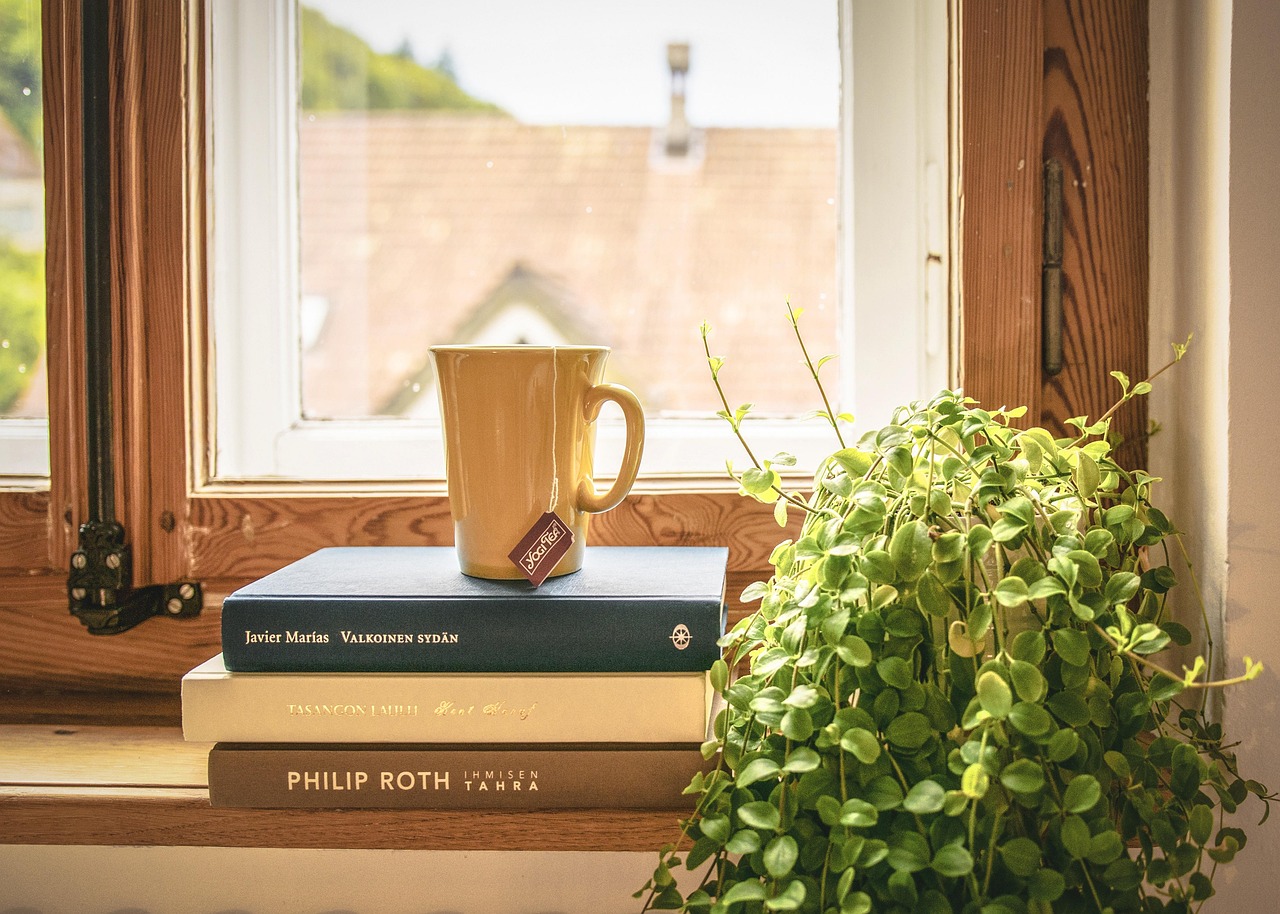 Trend: Groene vetplanten in minimalistische potten. Trend: Groene vetplanten in minimalistische potten.
