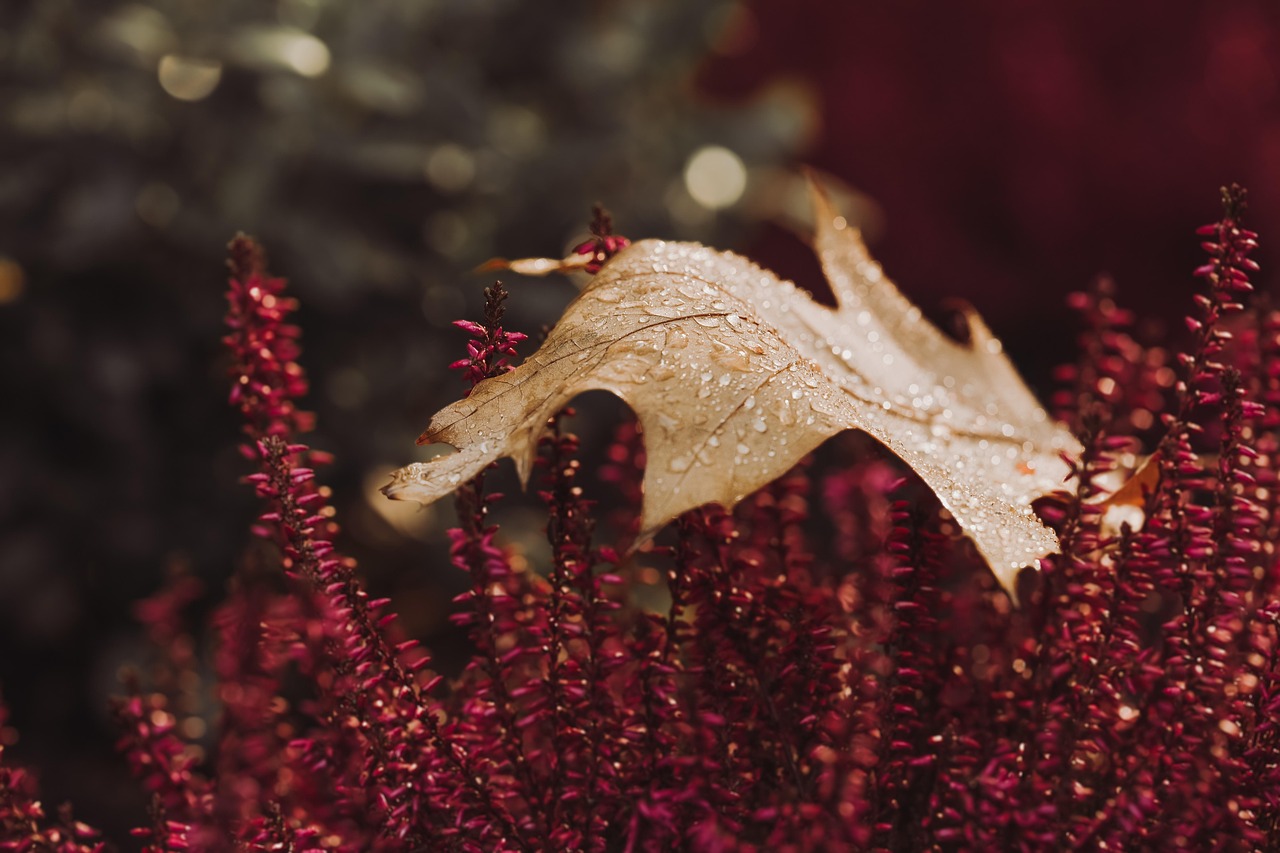 Gezellige herfstkleuren in woonkamerdecor. Gezellige herfstkleuren in woonkamerdecor.