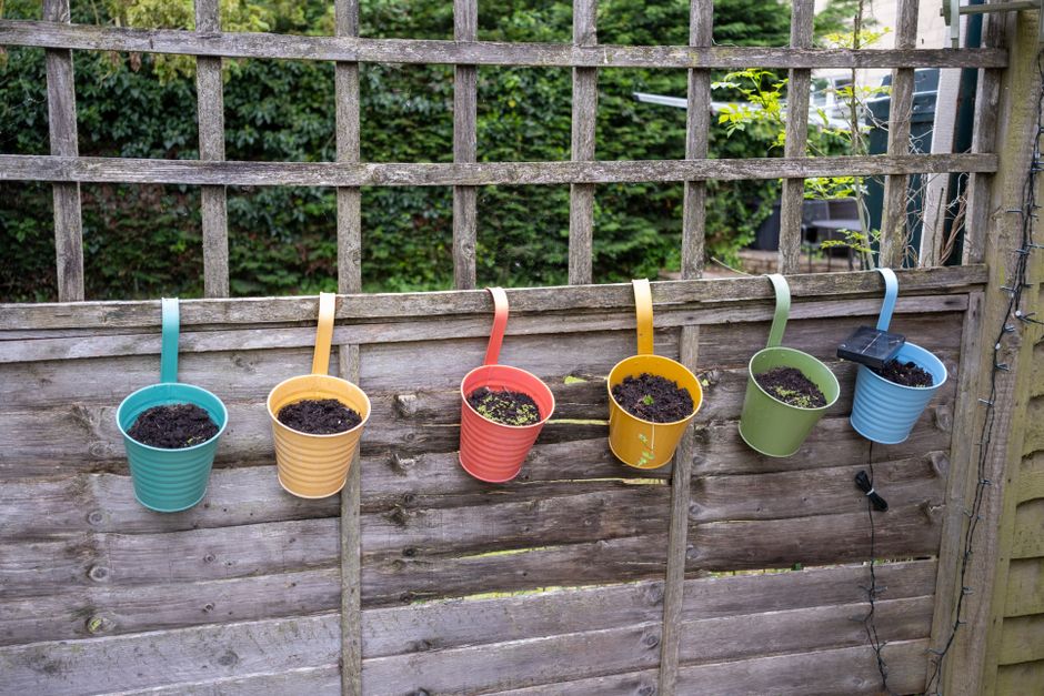 Verticale tuin met hangende planten.